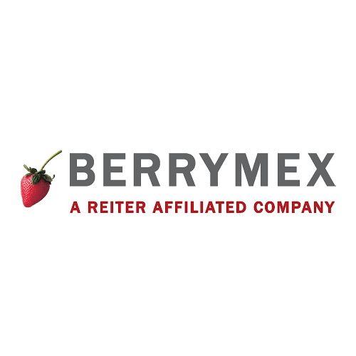 seccion 4 logo berrimex